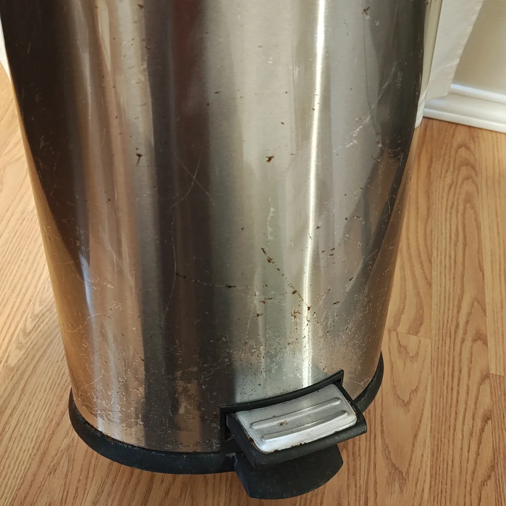 Stainless Steel Hands Free Trash Can with Black Lid